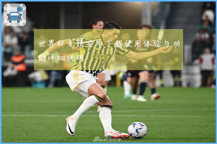 世界杯竞猜安卓下载使用体验与功能详细说明