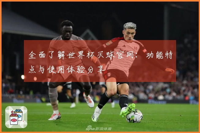 全面了解世界杯买球官网：功能特点与使用体验分享