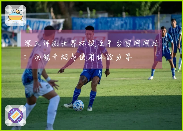 深入评测世界杯投注平台官网网址：功能介绍与使用体验分享