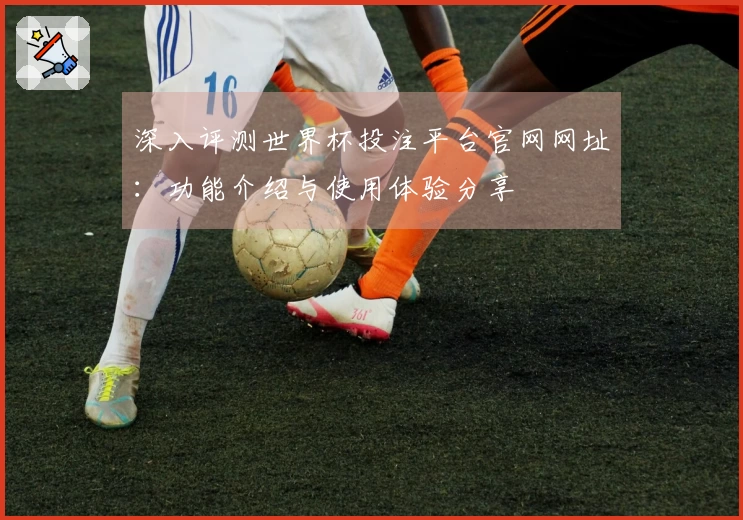 深入评测世界杯投注平台官网网址:功能介绍与使用体验分享