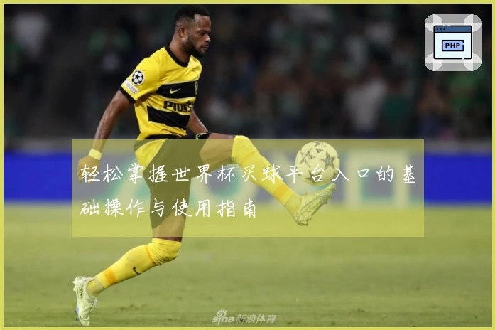 轻松掌握世界杯买球平台入口的基础操作与使用指南