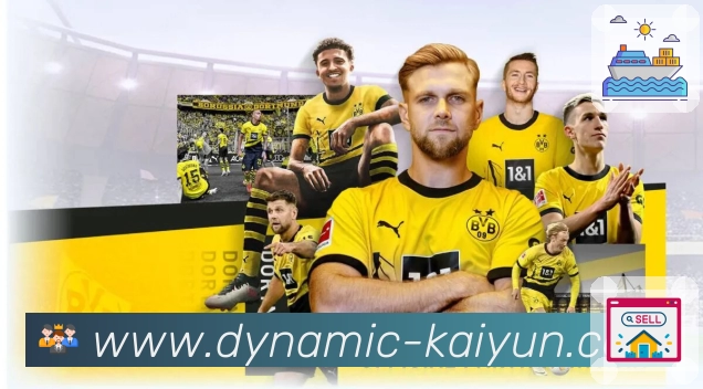 数据页带动复访